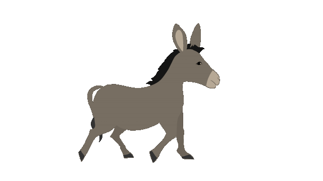 Donkey-Walk