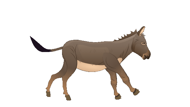 Donkey-running