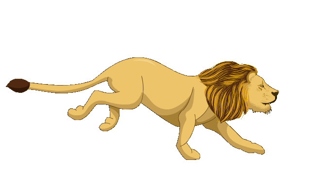 Lion running