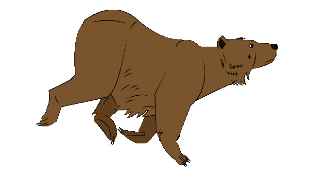 bear-running
