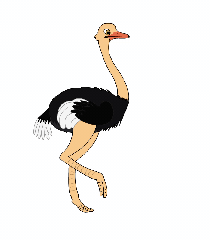 Ostrich